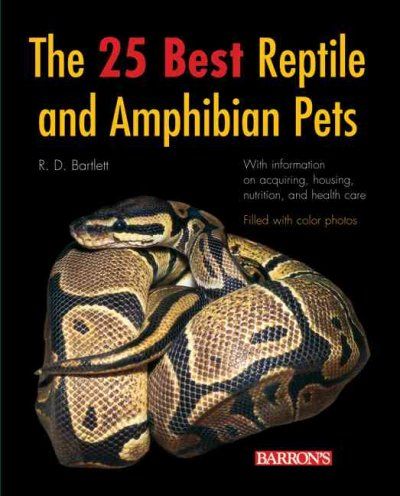 The 25 Best Reptile And Amphibian Petsreptile 
