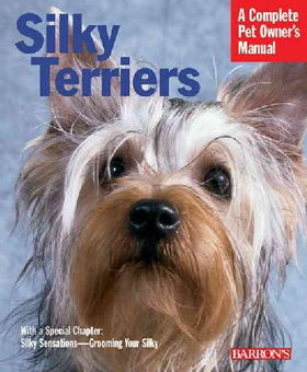 Silky Terrierssilky 