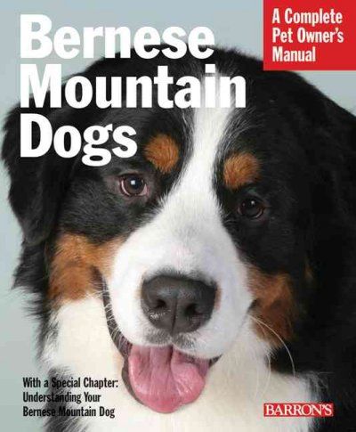 Bernese Mountain Dogsbernese 