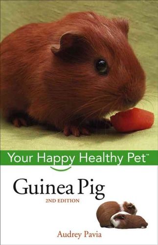Guinea Pigguinea 