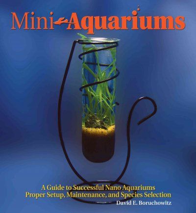 Mini-aquariumsaquariums 