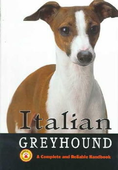 Italian Greyhounditalian 