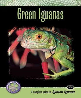 Green Iguanasgreen 