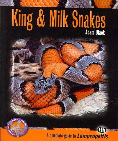 King & Milk Snakesking 