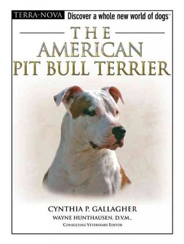 The American Pit Bull Terrieramerican 