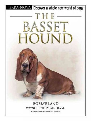 The Basset Houndbasset 