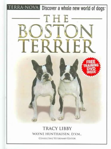 The Boston Terrierboston 