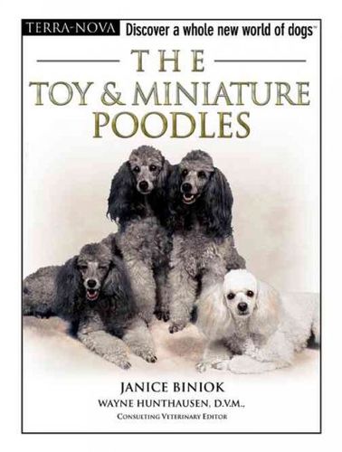 The Toy & Miniature Poodlestoy 