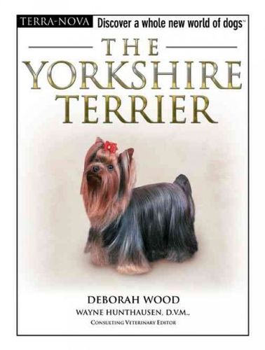 The Yorkshire Terrieryorkshire 