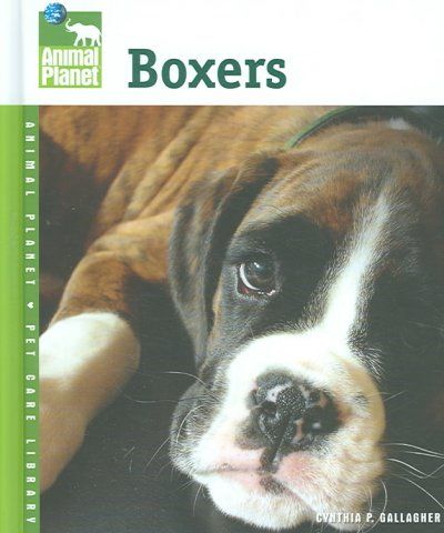 Boxersboxers 