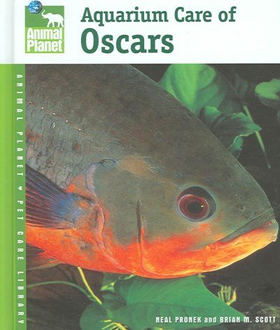 Aquarium Care of Oscarsaquarium 