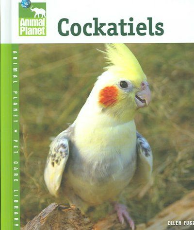 Cockatielscockatiels 