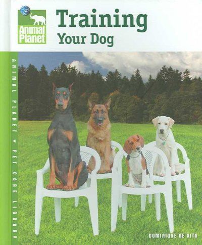 Training Your Dogtraining 