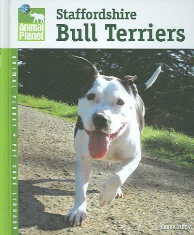 Staffordshire Bull Terriersstaffordshire 