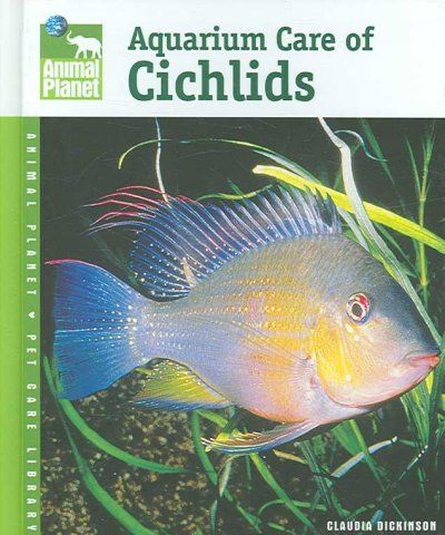 Aquarium Care of Cichlidsaquarium 