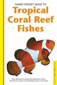 Handy Pocket Guide To Tropical Coral Reef Fisheshandy 