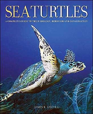 Sea Turtlessea 