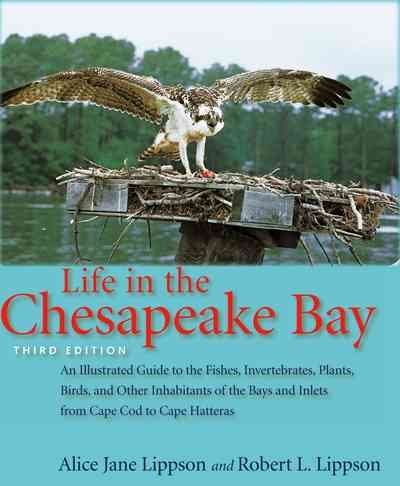 Life in the Chesapeake Baylife 