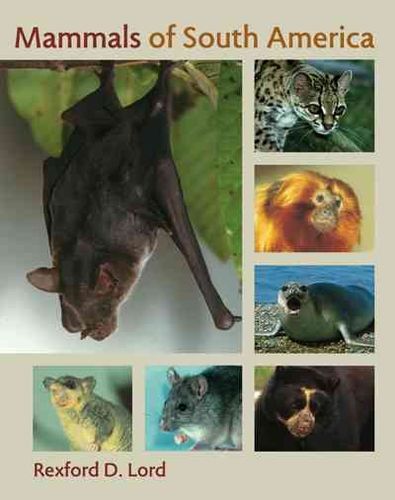 Mammals of South Americamammals 