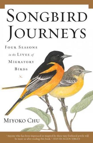 Songbird Journeyssongbird 