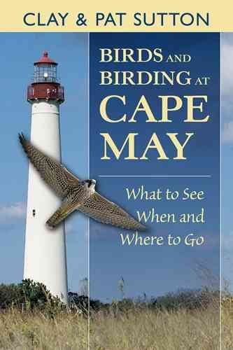 Birds And Birding at Cape Maybirds 