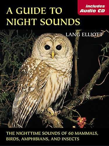 A Guide to Night Soundsguide 