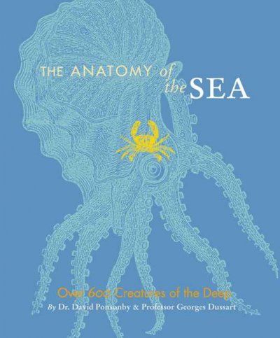 The Anatomy Of The Seaanatomy 
