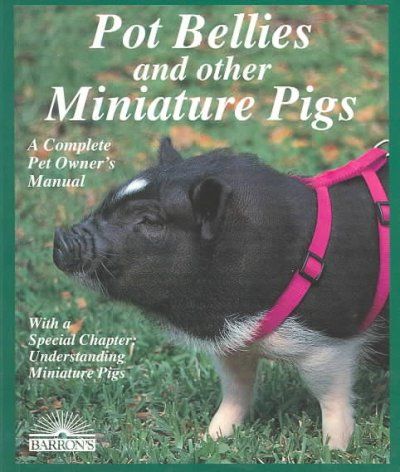 Pot Bellies and Other Miniature Pigspot 