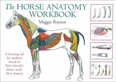 THe Horse Anatomy Workbookhorse 