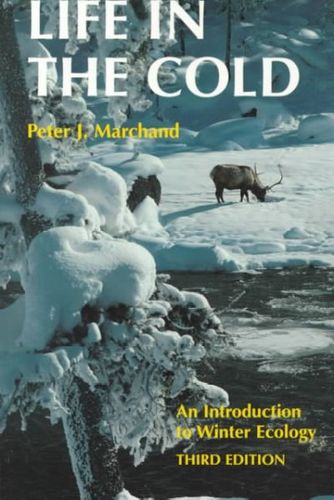Life in the Coldlife 
