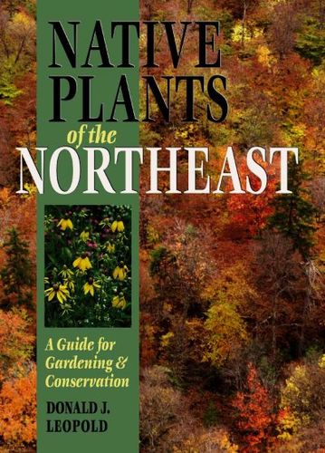 Native Plants Of The Northeastnative 