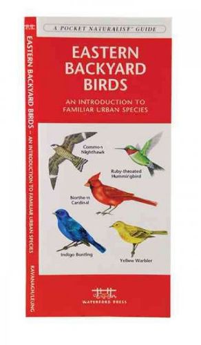 Eastern Backyard Birdseastern 