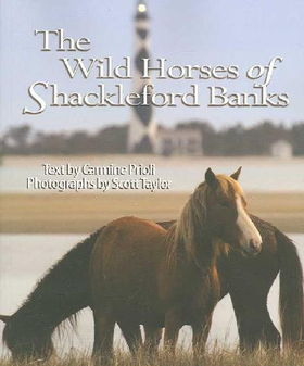 The Wild Horses of Shackleford Bankswild 