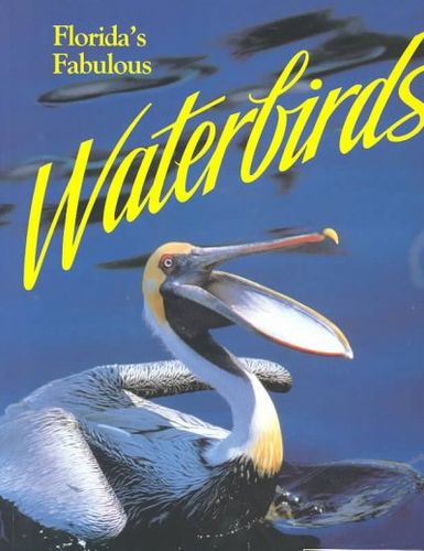Florida's Fabulous Waterbirdsflorida 