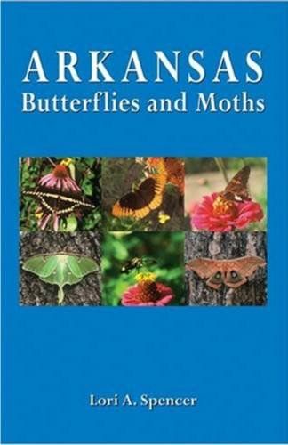 Arkansas Butterflies And Mothsarkansas 
