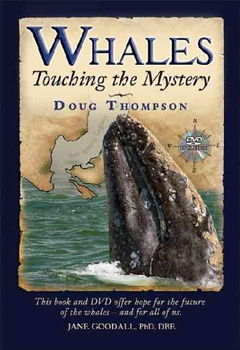 Whaleswhales 