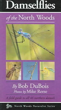 Damselflies of the North Woodsdamselflies 