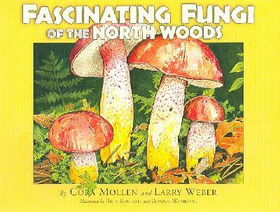 Fascinating Fungi of the North Woodsfascinating 