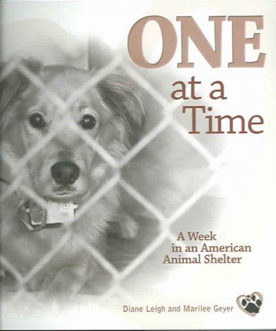 One at a Timetime 