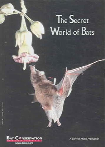 The Secret World of Batssecret 