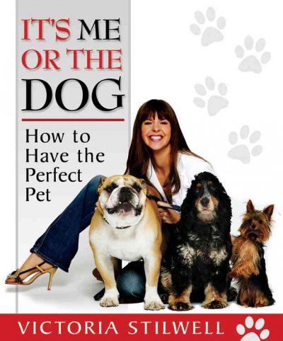 It's Me or the Dogdog 