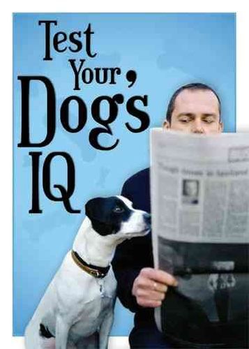 Test Your Dog's IQdogs 