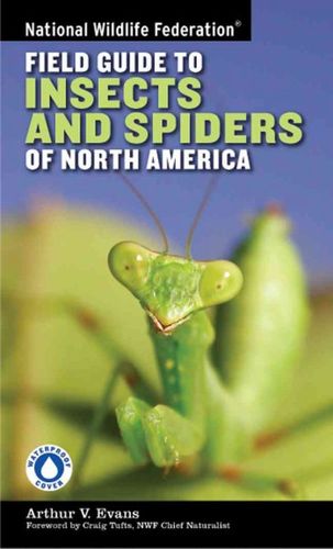 National Wildlife Federation Field Guide to Insects and Spiders & Related Species of North Americanational 