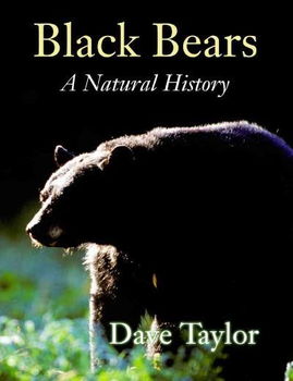 Black Bearsblack 