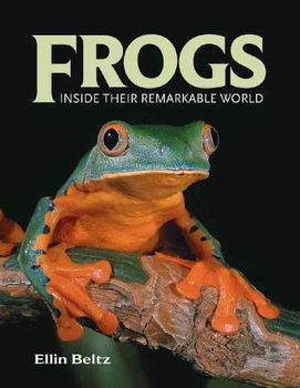 Frogsfrogs 