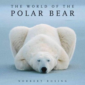 The World of the Polar Bearworld 