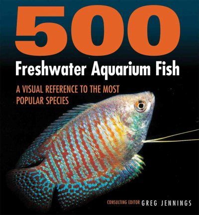 500 Freshwater Aquarium Fishfreshwater 