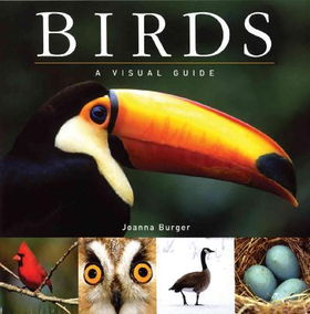 Birdsbirds 