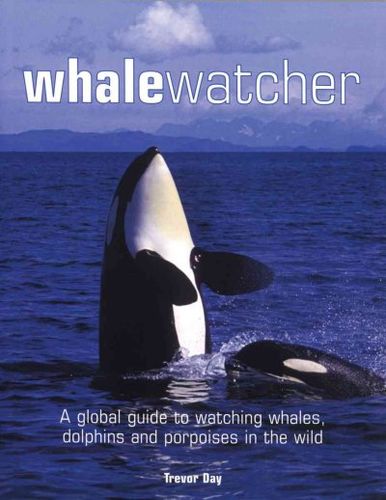 Whale Watcherwhale 