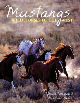 Mustangsmustangs 